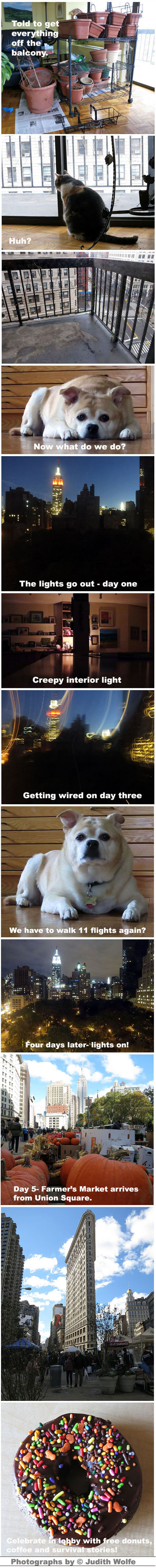 The view from Casa Lobo