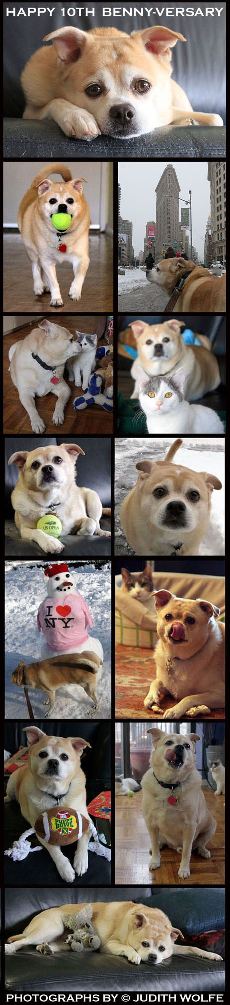 10bennyversary