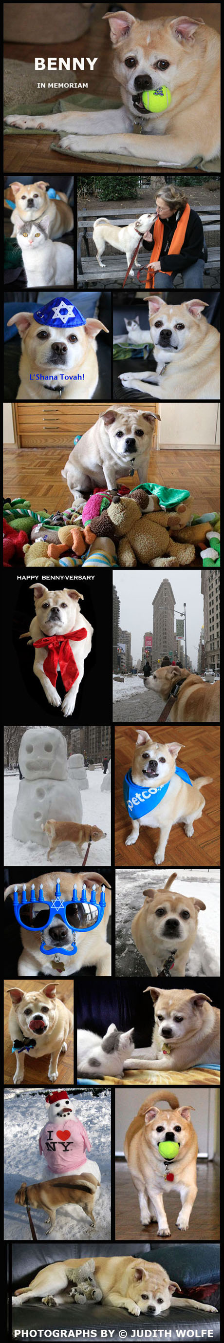 BENNY-IN MEMORIAM copy