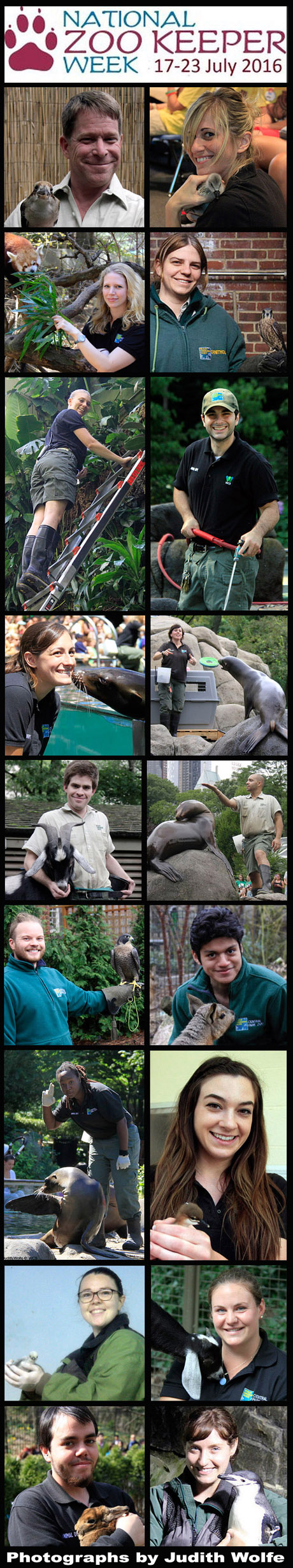 Zoo Keeper Week