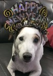 hnyj