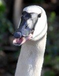 6389