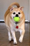6389